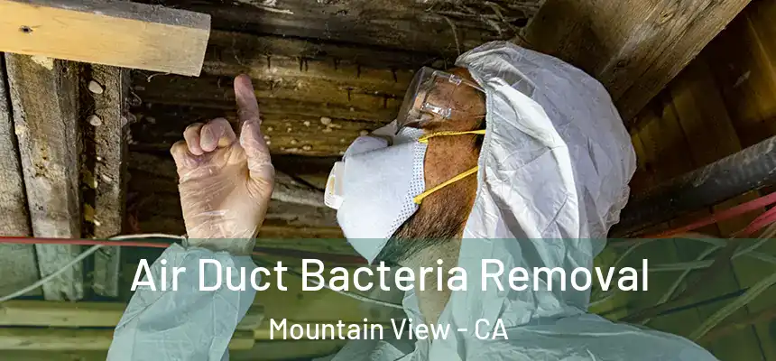 Air Duct Bacteria Removal Mountain View - CA