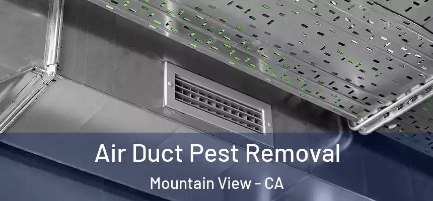 Air Duct Pest Removal Mountain View - CA