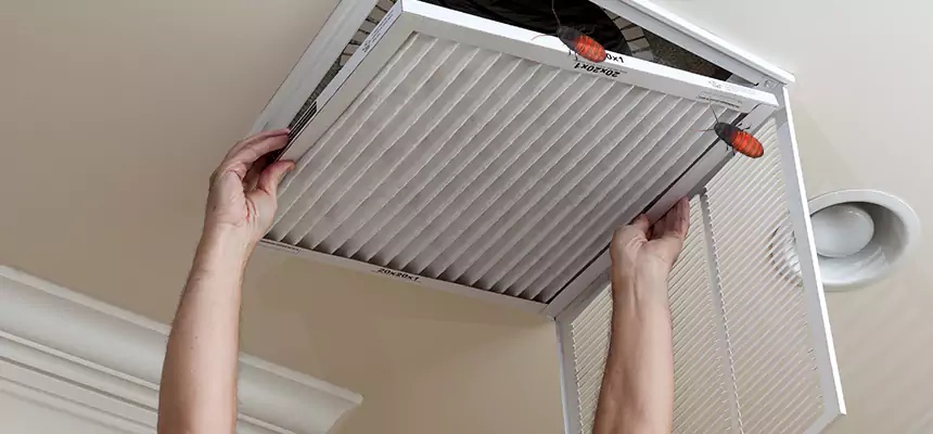 Preventive Cockroach-Proofing for Ducts in Mountain View