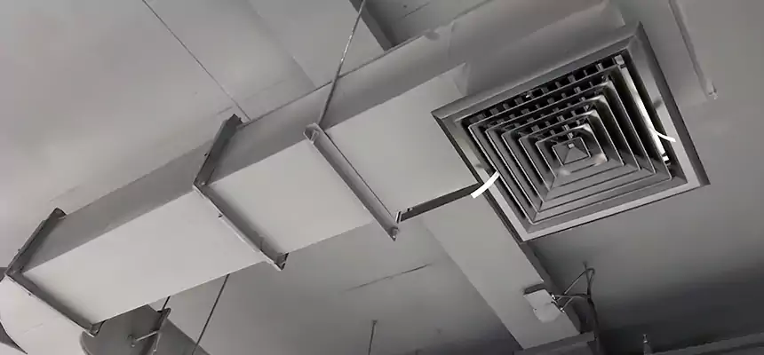 Restorative Allergy Relief Vent Cleaning – Coil, Blower & Housing Detail in Mountain View