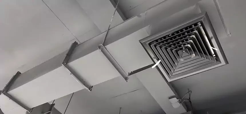 Our Pest Removal From Ducts Services in Mountain View, CA