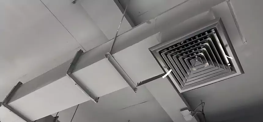 Our Rodent Droppings In Vents Services in Mountain View, CA