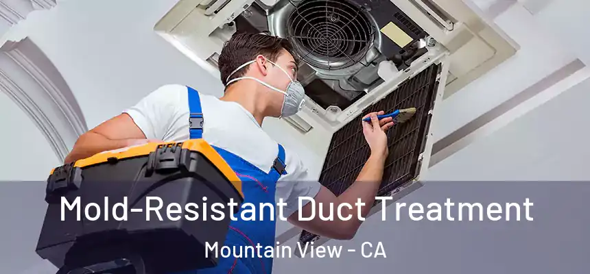 Mold-Resistant Duct Treatment Mountain View - CA