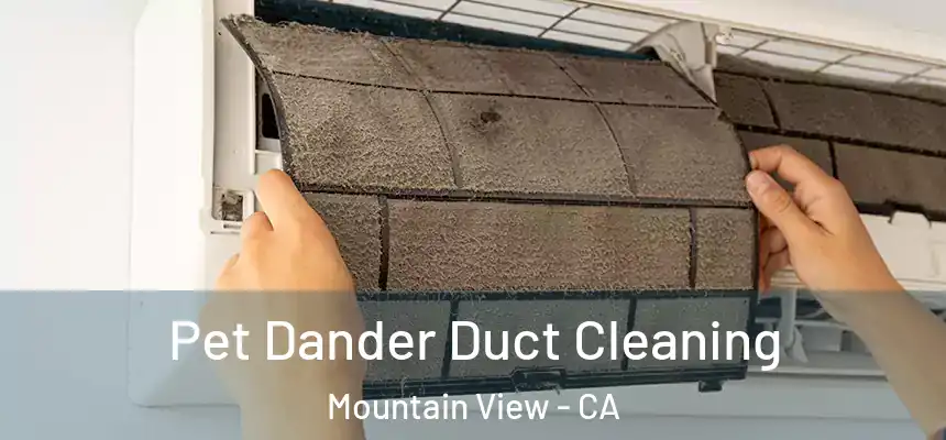 Pet Dander Duct Cleaning Mountain View - CA