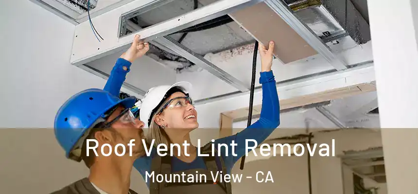 Roof Vent Lint Removal Mountain View - CA