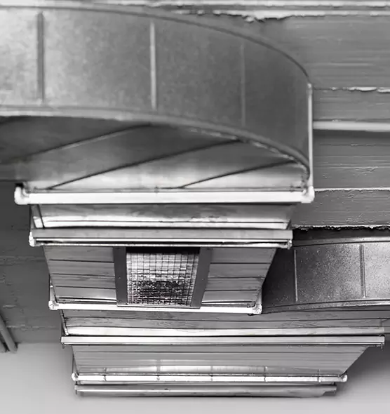 Professional Air Duct Pest Removal in Mountain View, CA