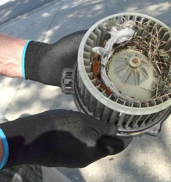 About Air Duct Rat Removal in Mountain View, CA