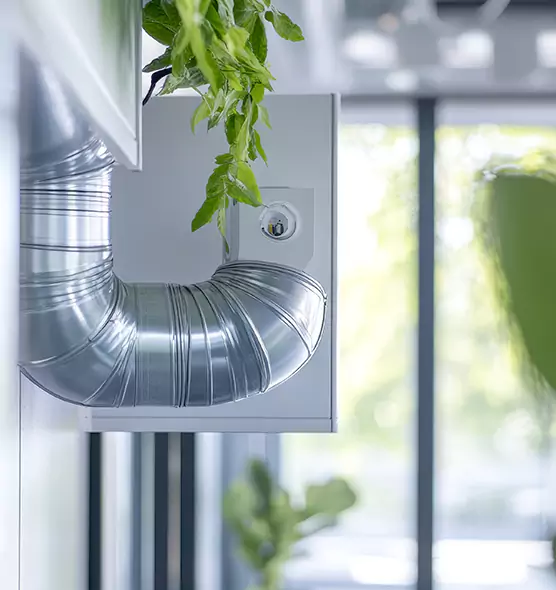 Professional Eco-Safe Dryer Vent Cleaning in Mountain View, CA