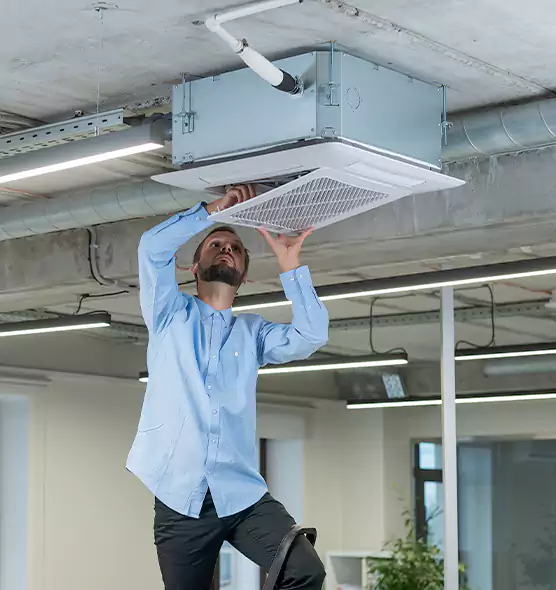 Advanced Rodent Droppings In Vents in Mountain View, CA