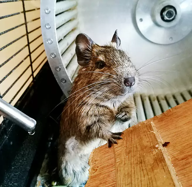 Why Homeowners & Businesses Trust Us Mountain View, CA?