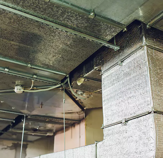 Why Homeowners & Businesses Trust Us in Mountain View, CA?